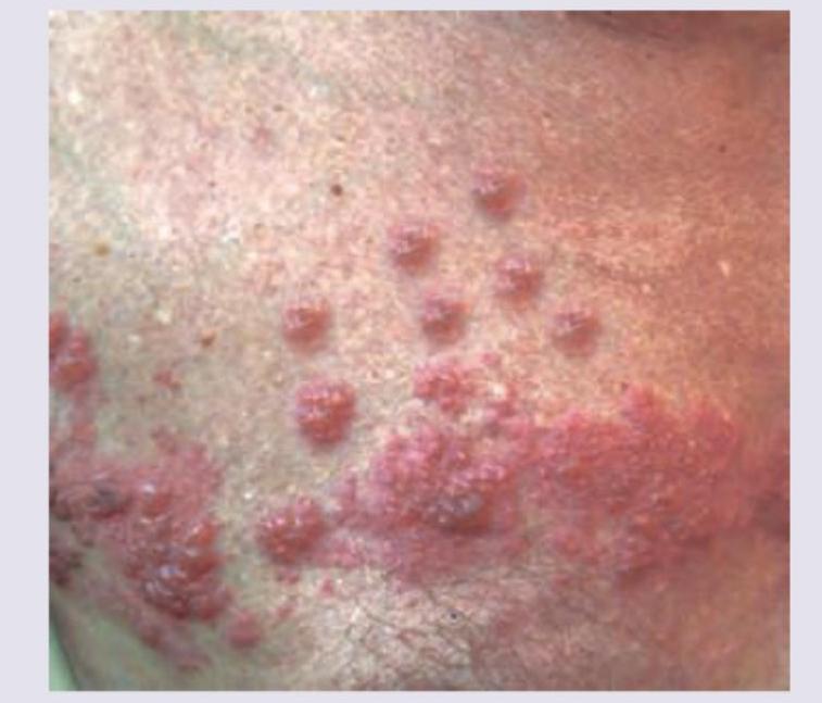 Image for question 8