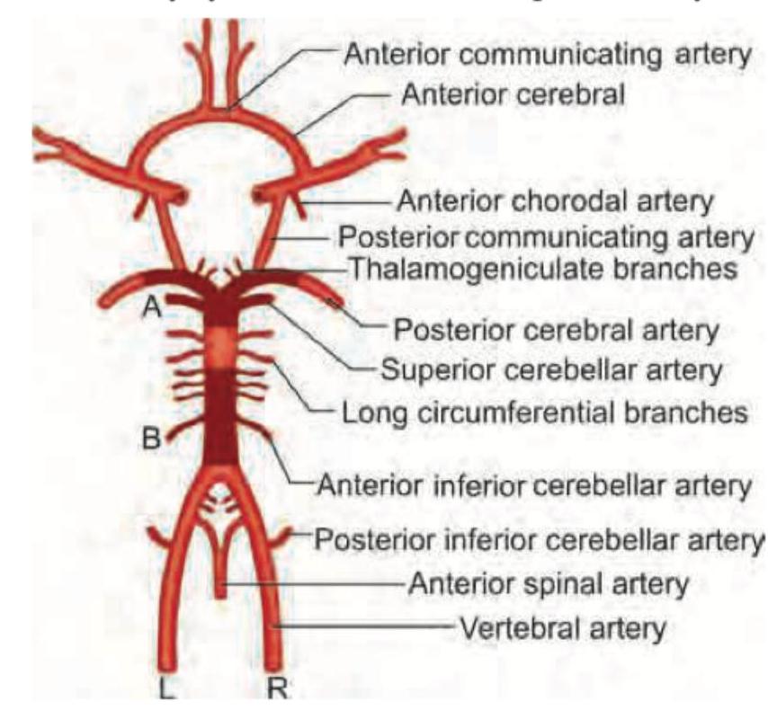 Image for question 38