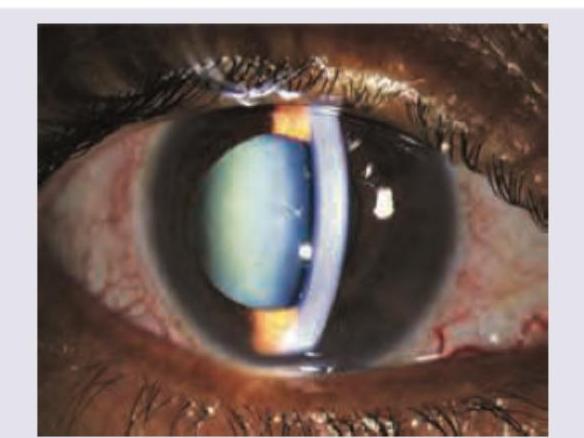 Image for question 10