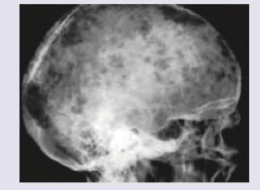 Image for question 22