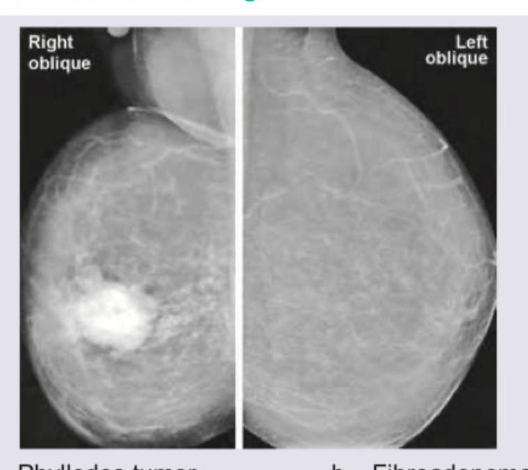 Image for question 48