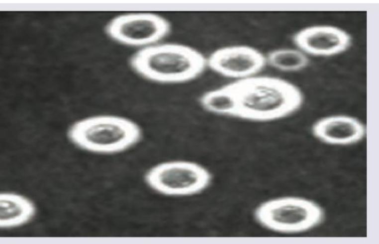 Image for question 6