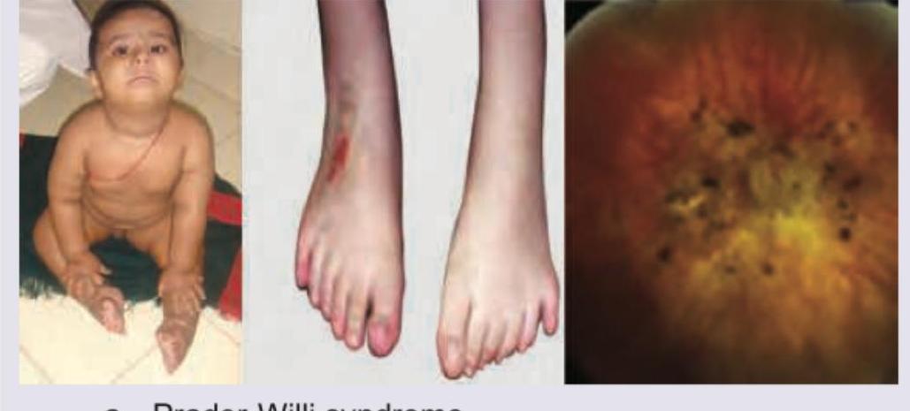 Image for question 9