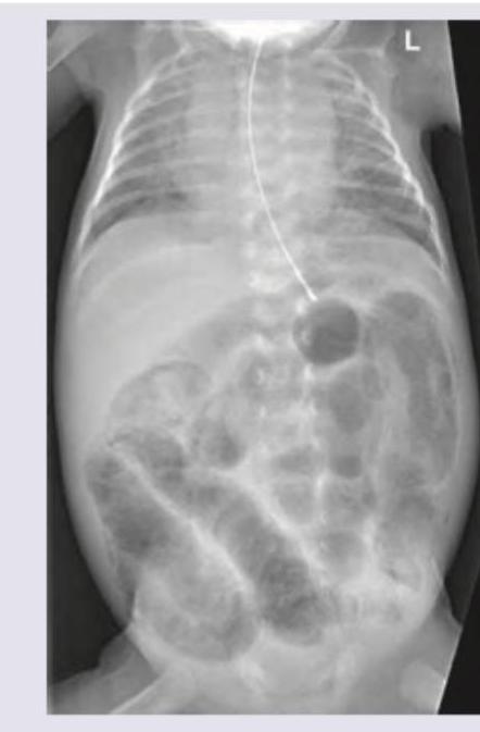 Image for question 59