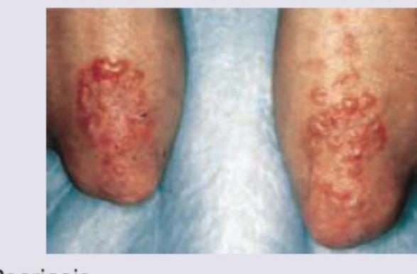 Image for question 9