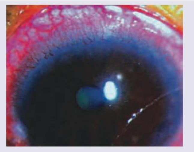 Image for question 10