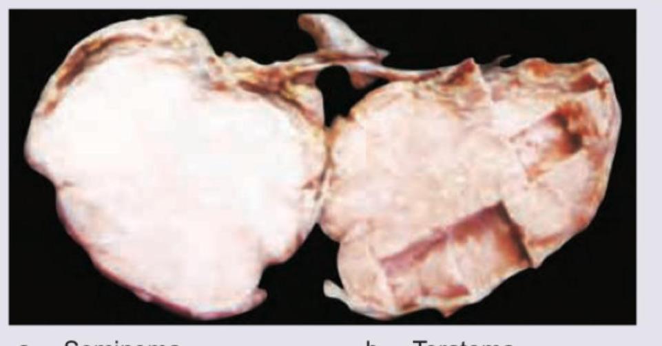 Image for question 8