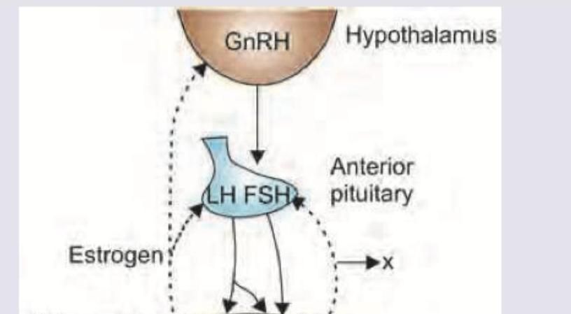 Image for question 9