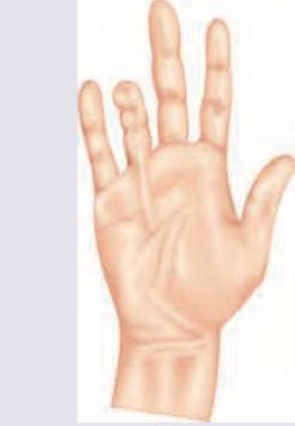 Image for question 3