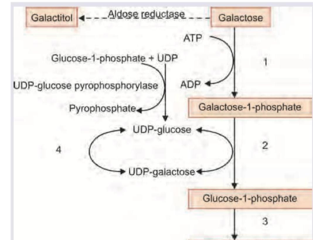 Image for question 724