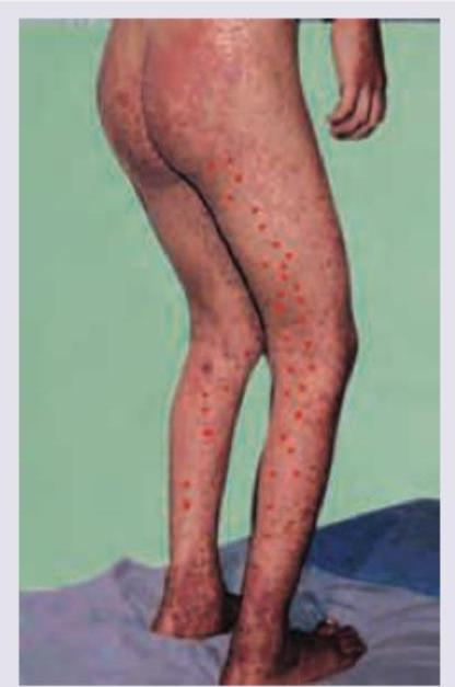 Image for question 6