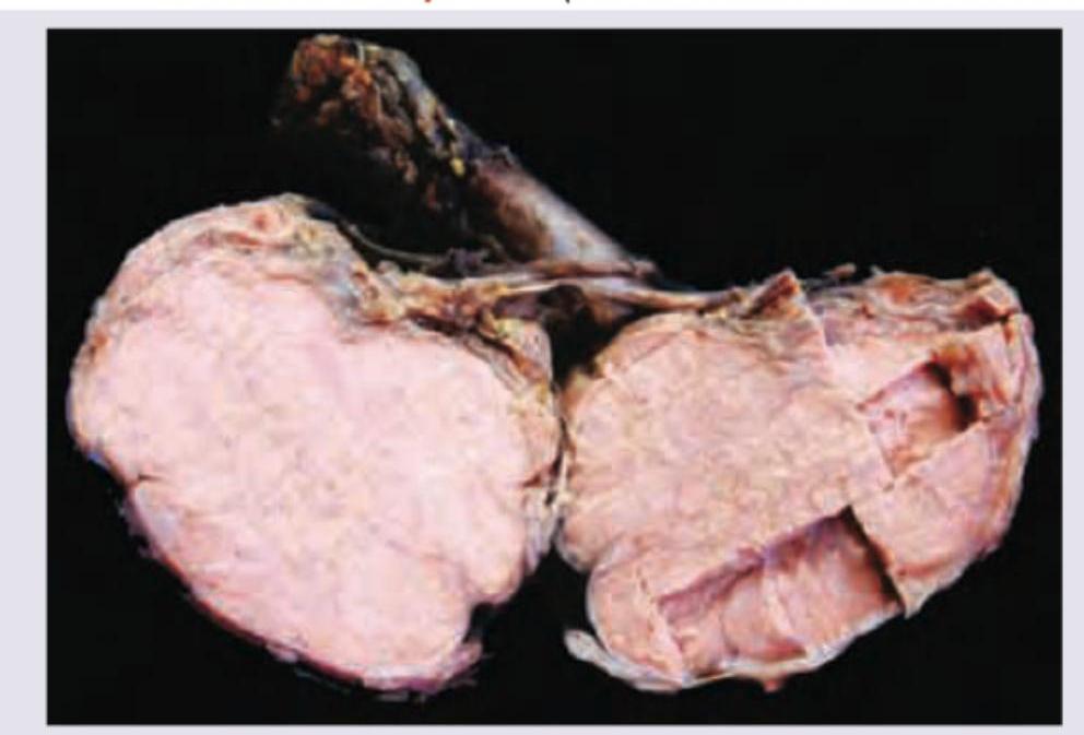 Image for question 9