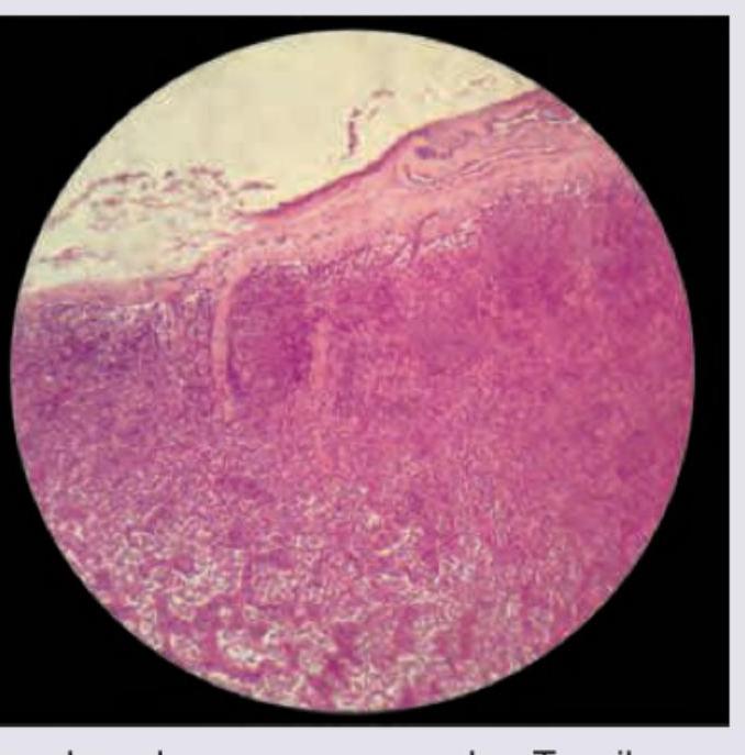 Image for question 256