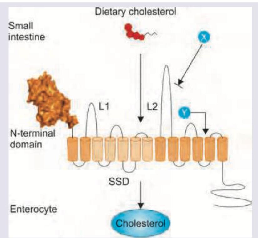 Image for question 958