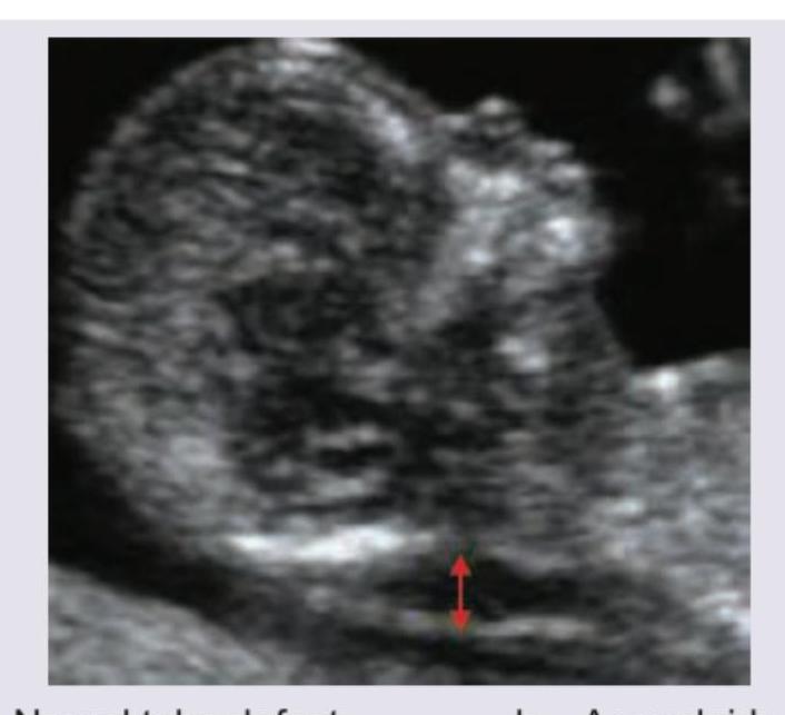 Image for question 8