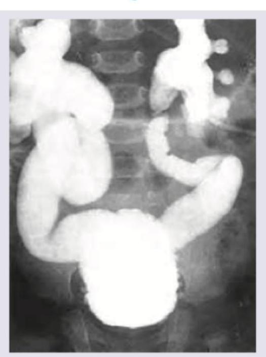 Image for question 54