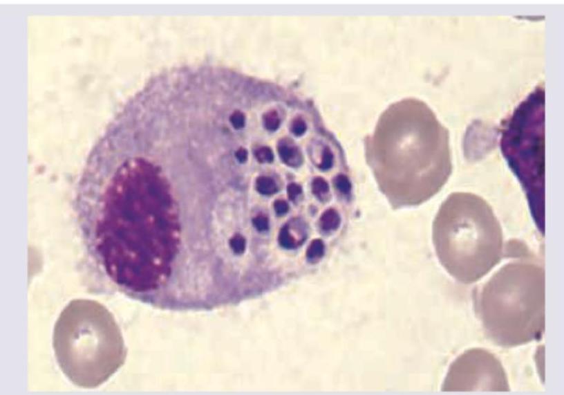 Image for question 2