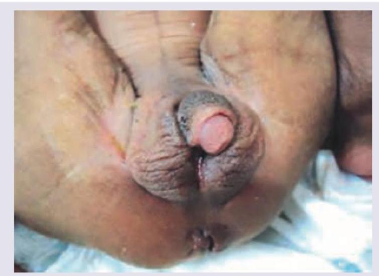 Image for question 54