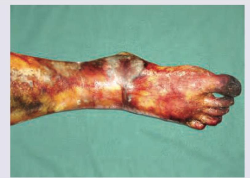 Image for question 234