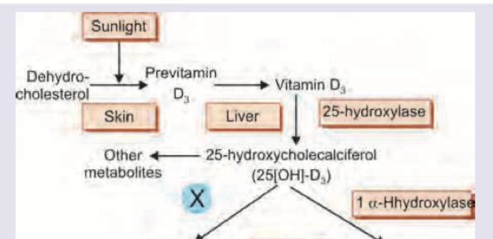 Image for question 4