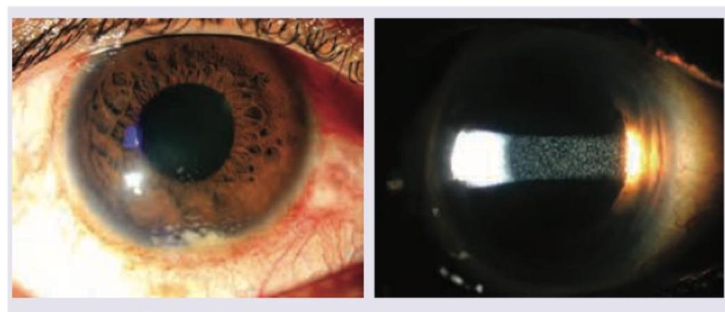 Image for question 8