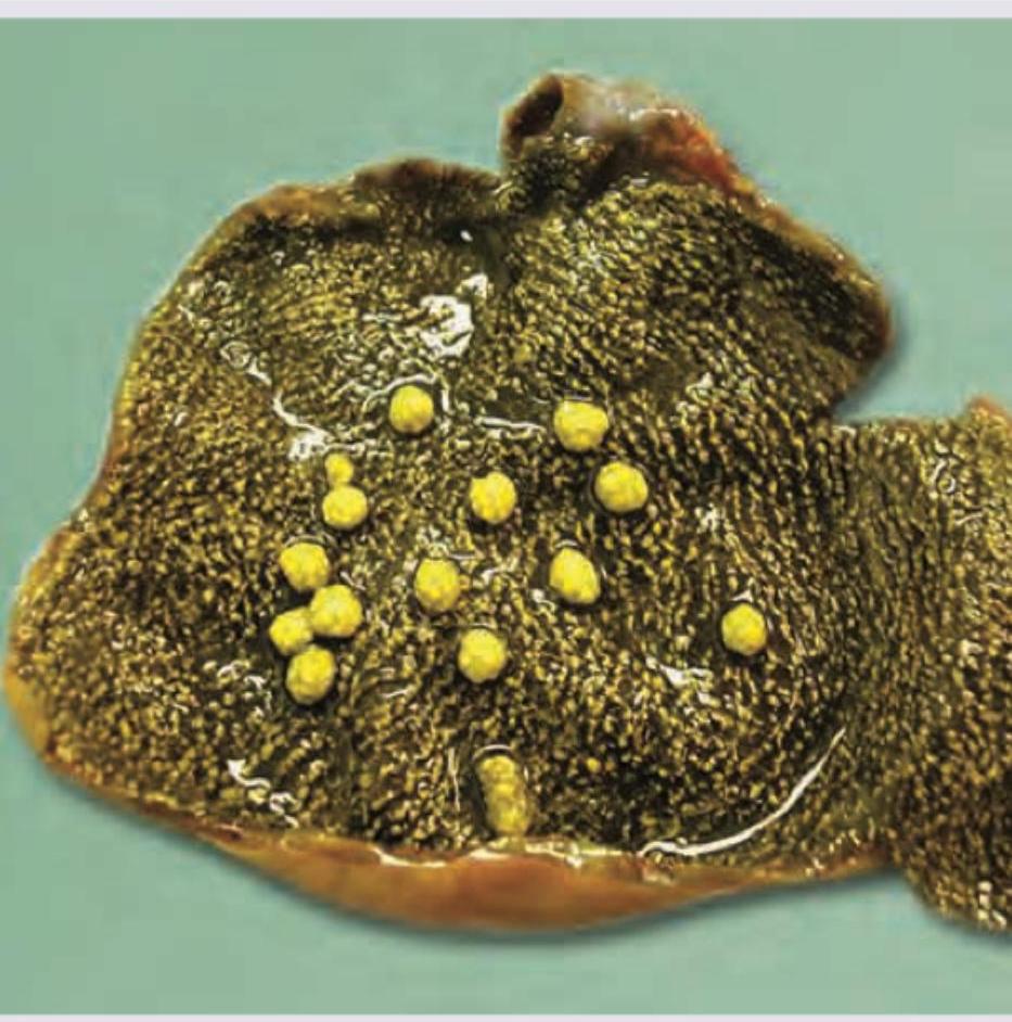 Image for question 562