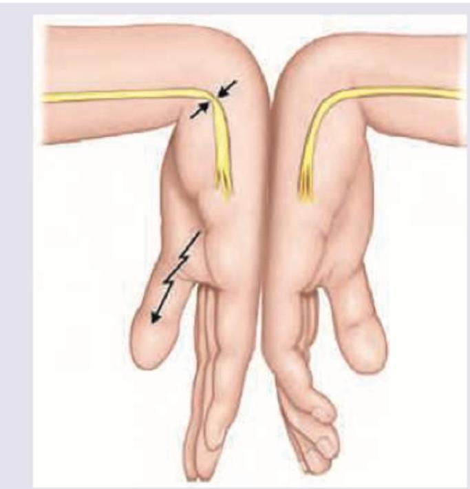 Image for question 8