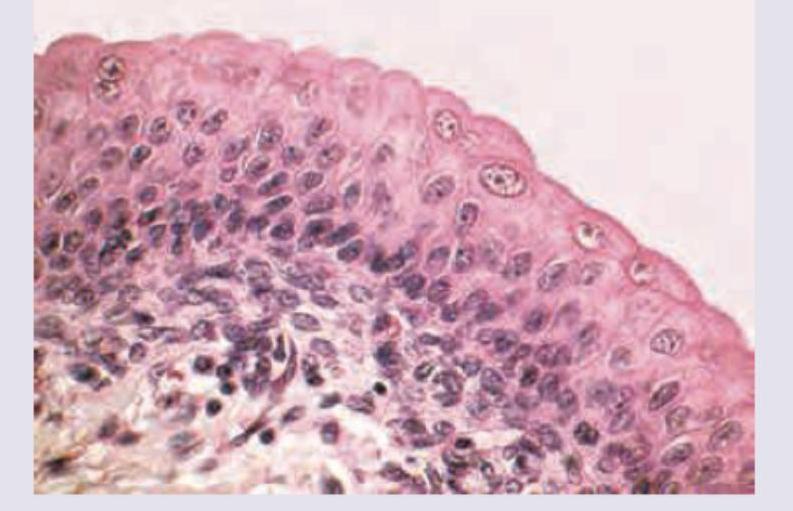 Image for question 390