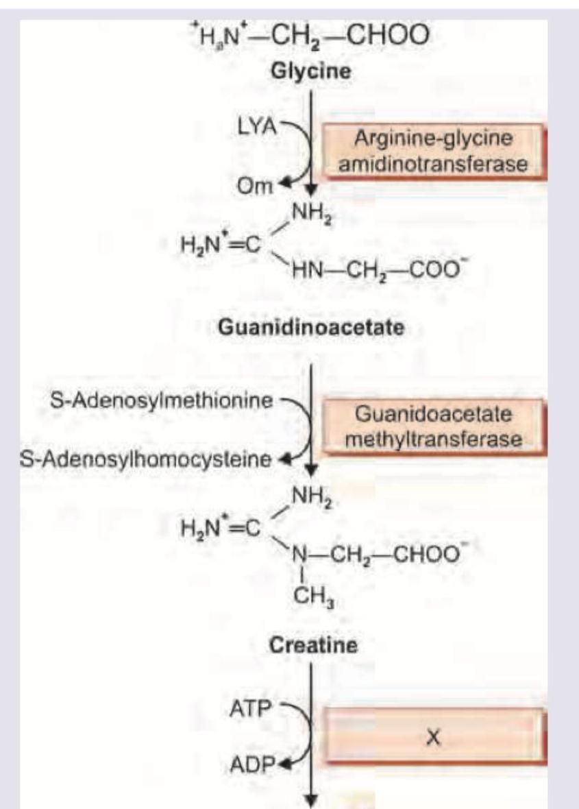 Image for question 459