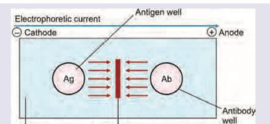 Image for question 312