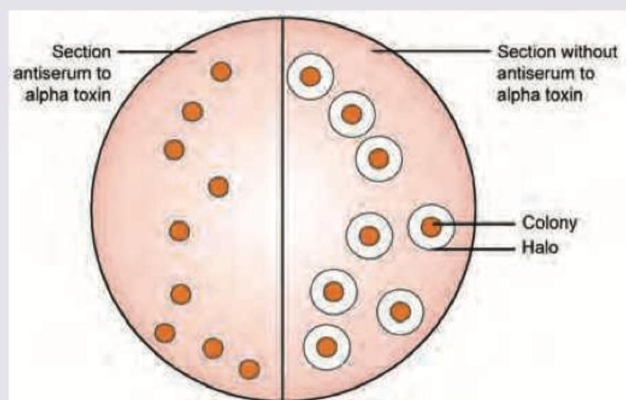 Image for question 6