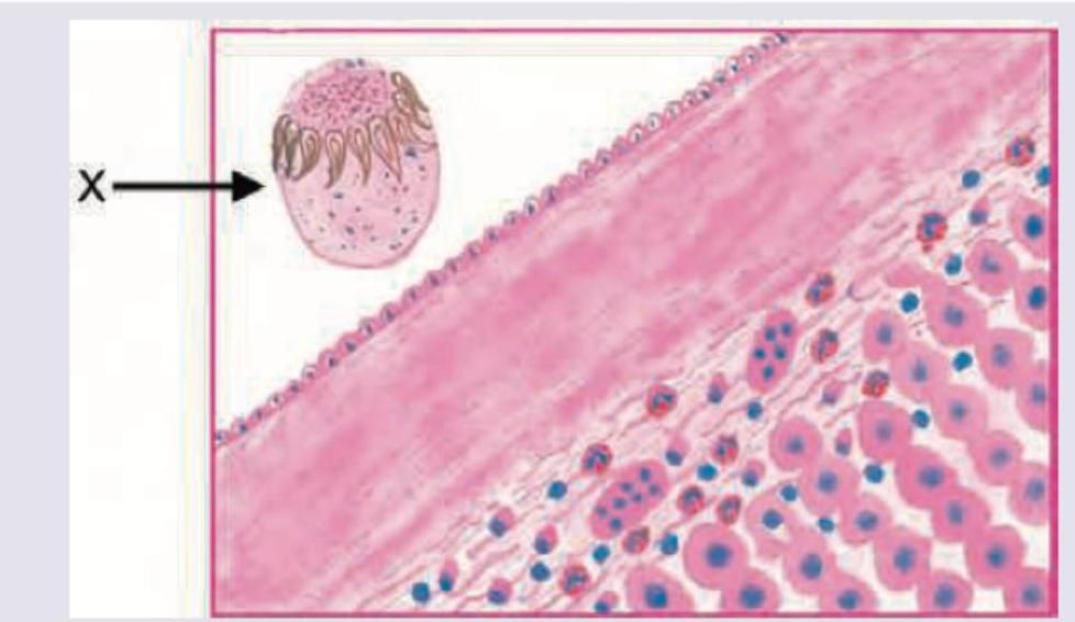 Image for question 351