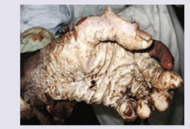 Image for question 308