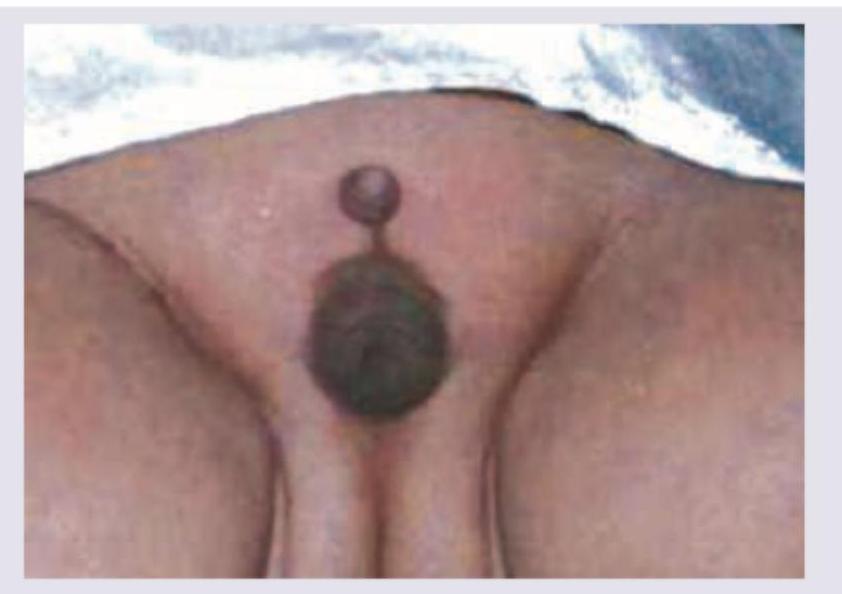 Image for question 9