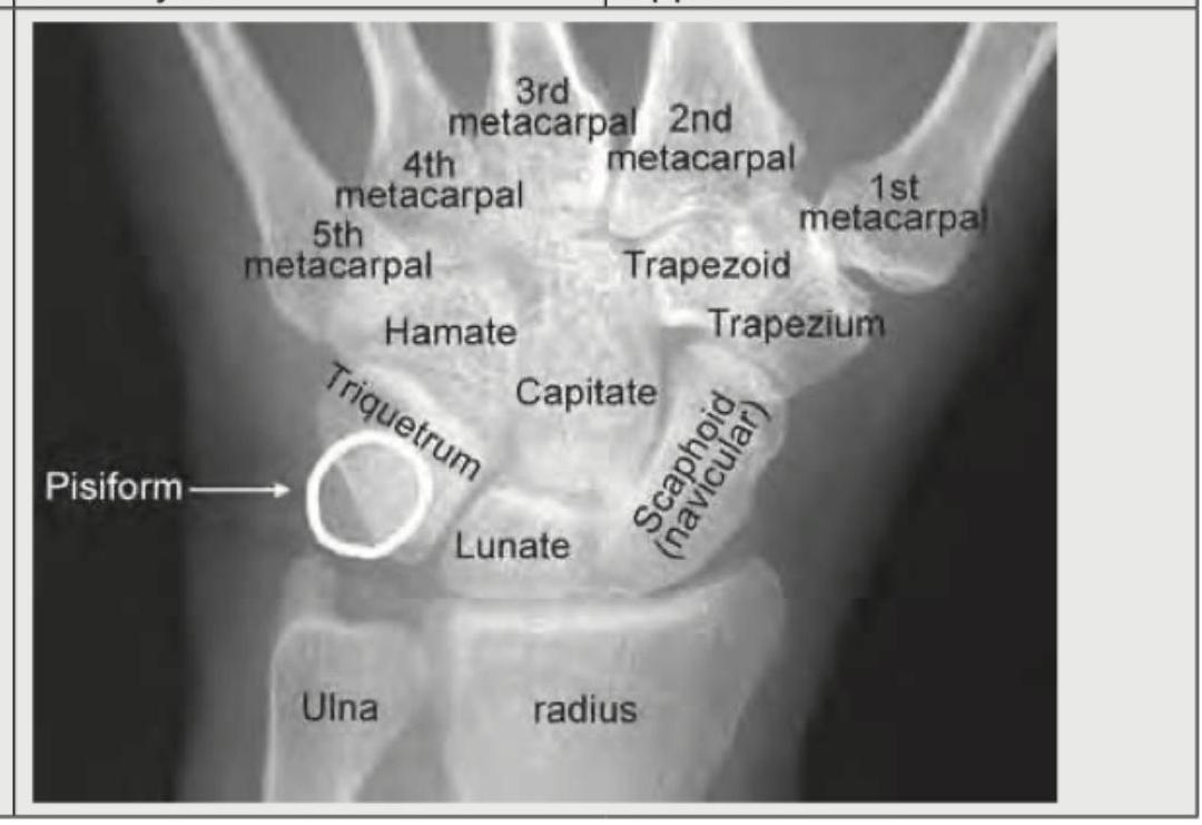 Image for question 9