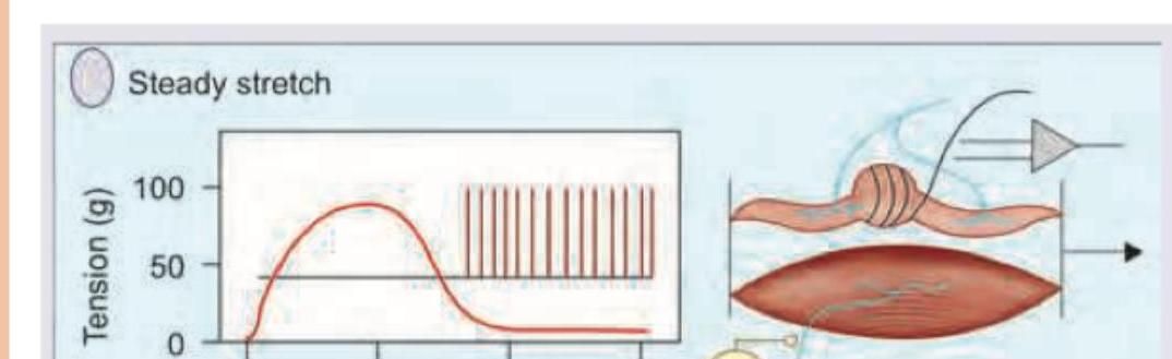 Image for question 73