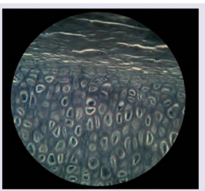 Image for question 163