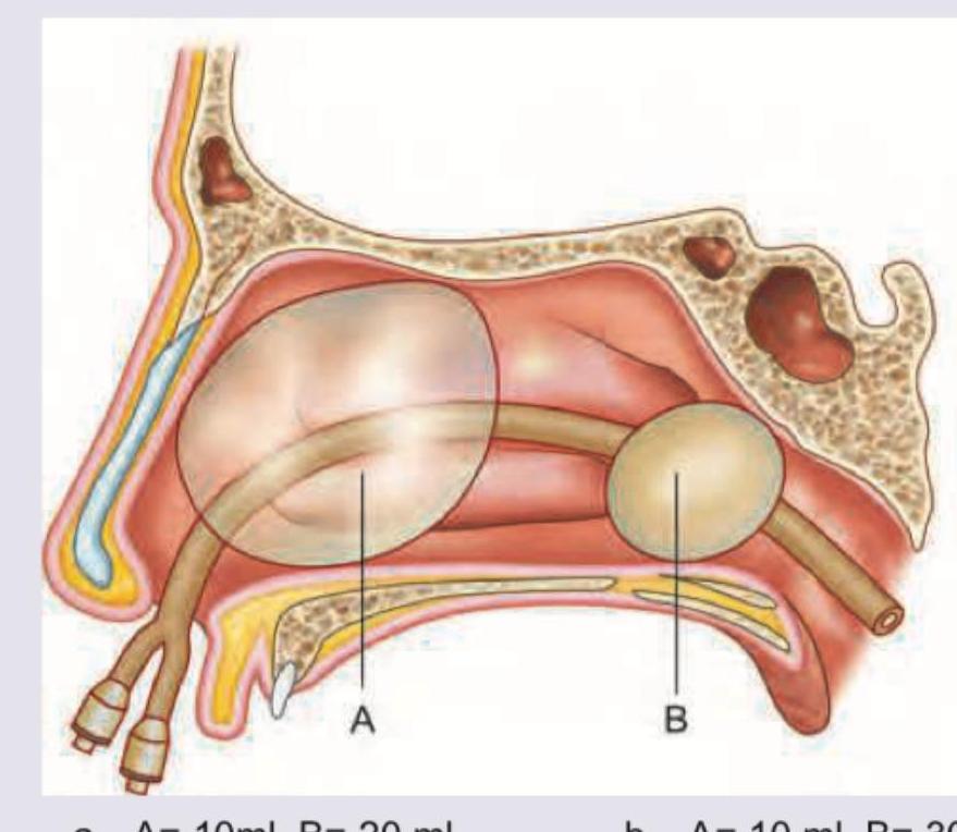 Image for question 338