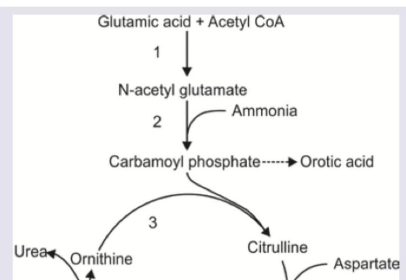 Image for question 9