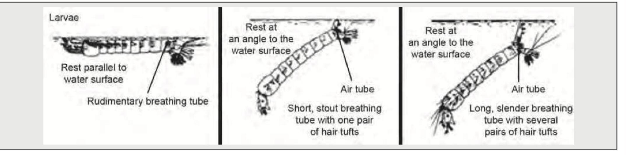 Image for question 109