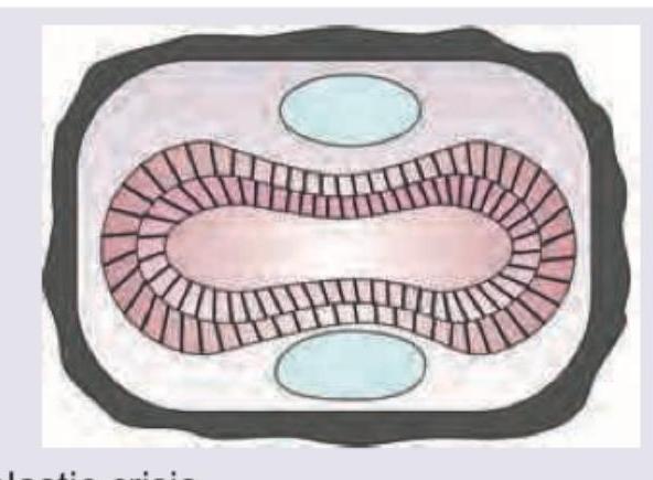 Image for question 74