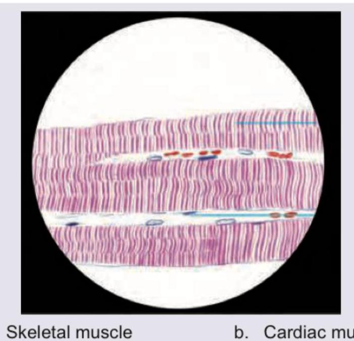 Image for question 10