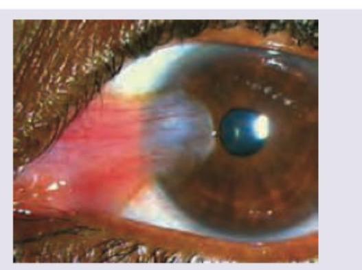 Image for question 4