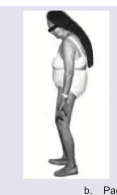 Image for question 5