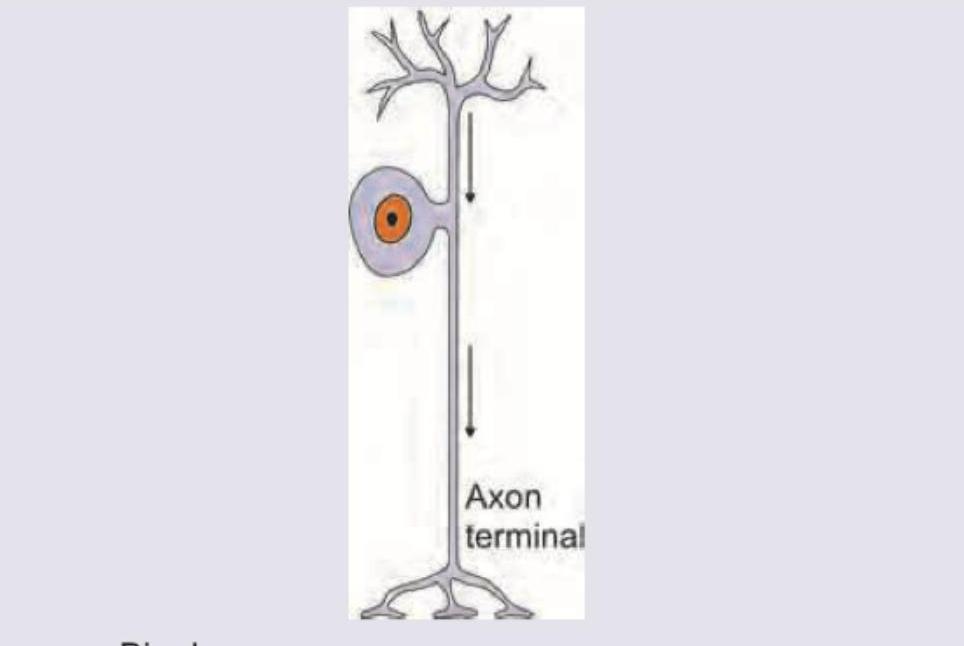 Image for question 382