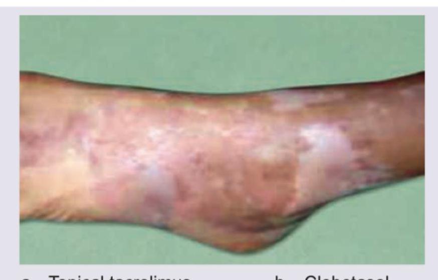 Image for question 82