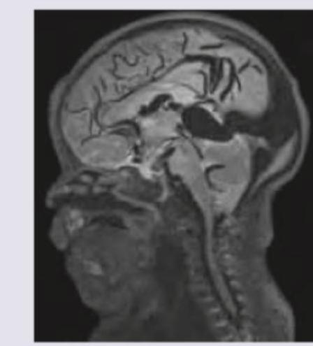 Image for question 9