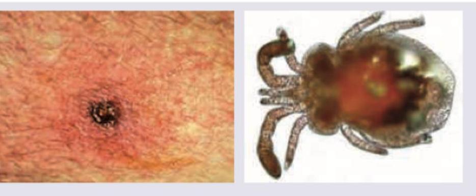 Image for question 9