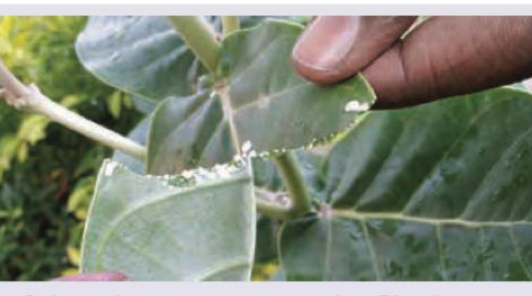 Image for question 15