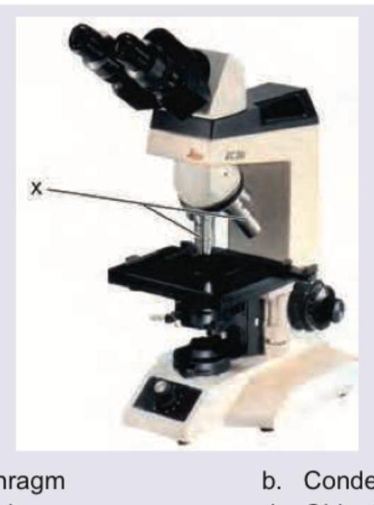 Image for question 424